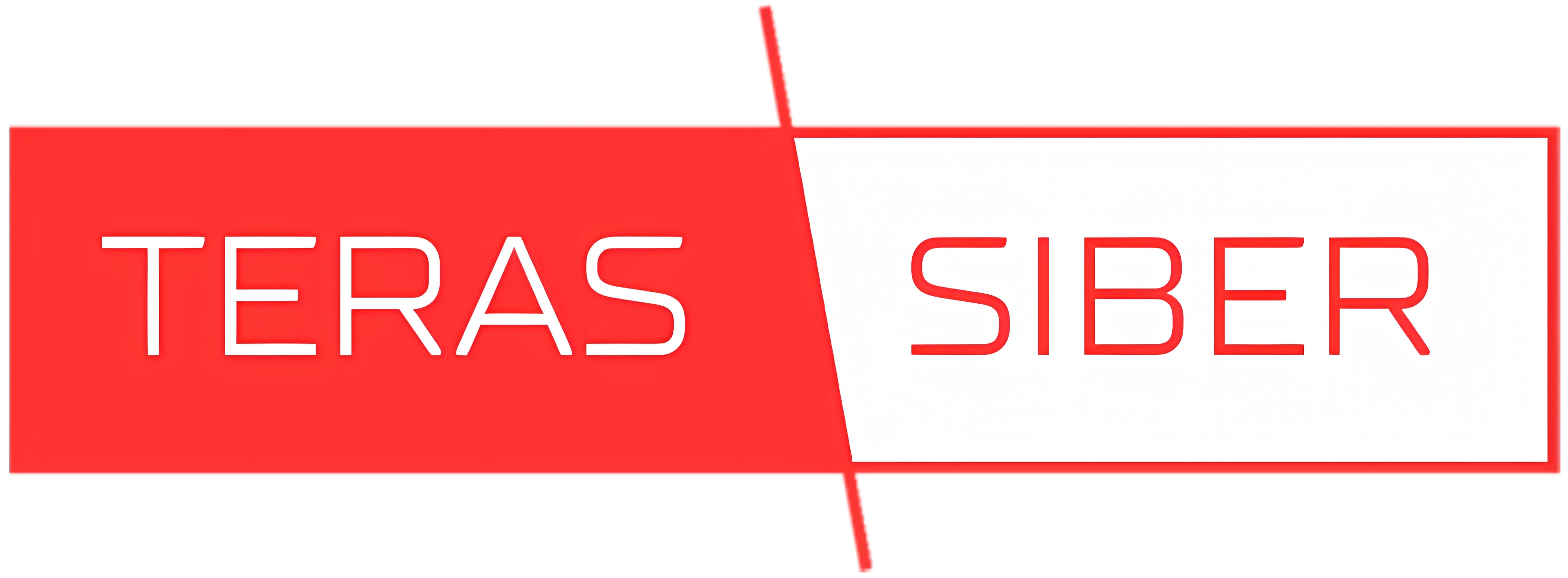 Teras Siber